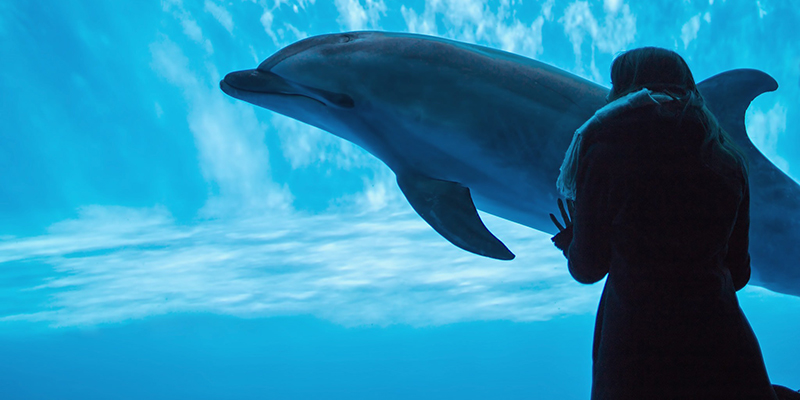 水族館越しの女性